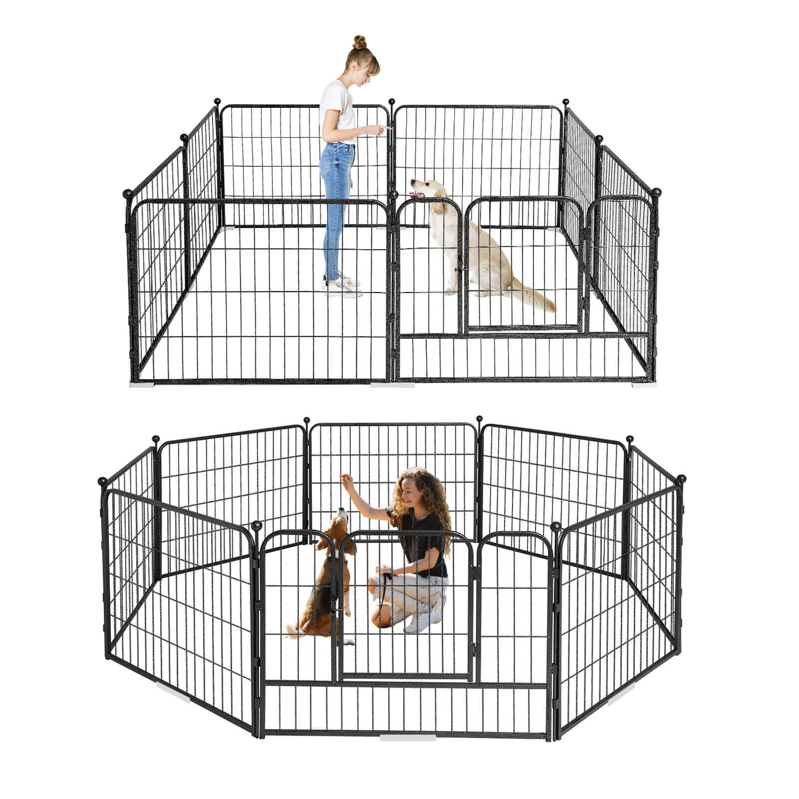 Elecwish High-Security Pet Fences display scene